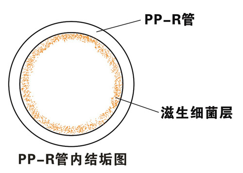 PP-R渗氧，易滋生细菌，有异味；腐蚀金属连接件，降低使用寿命