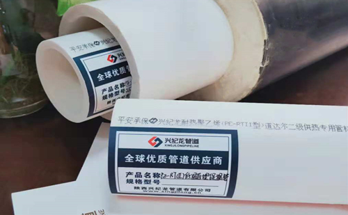 PE-RT II型保温管